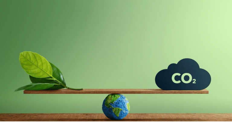 Huella de carbono del PET reciclado